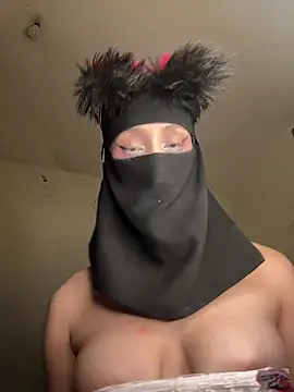 arabayla webcam