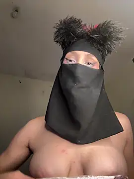 arabayla webcam