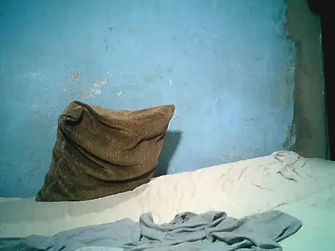 little__joy webcam