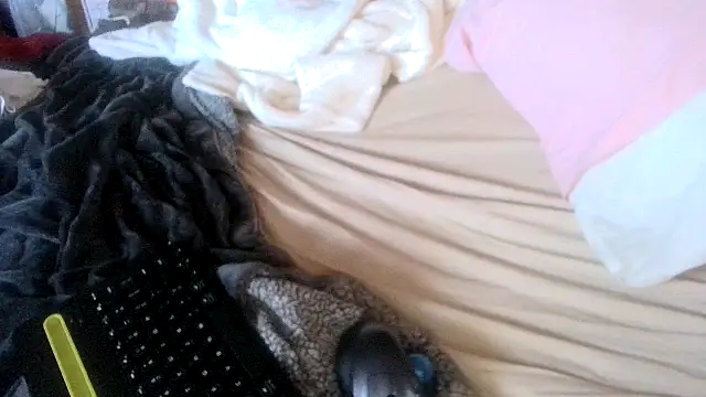 Teddy4420 webcam