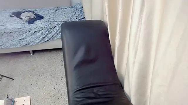 Liarr_ webcam