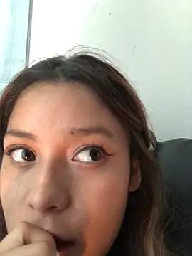 3littles webcam