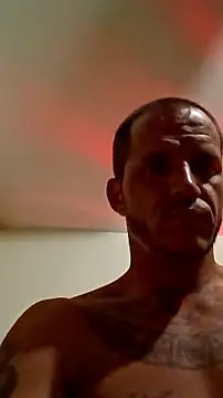 ToTrue8287 webcam