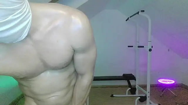 NinjaLaser webcam