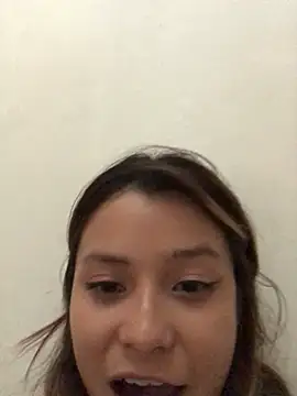 3littles webcam