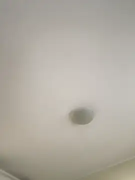 alisa_di (F young) - pussy,💦