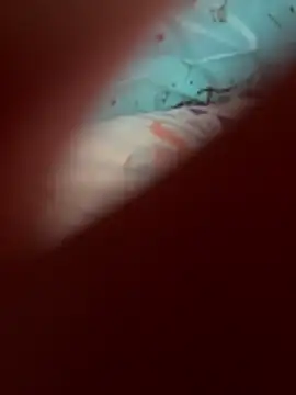 Ladycandy26 live cam on StripChat