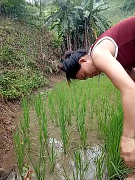 Heryy_xx webcam