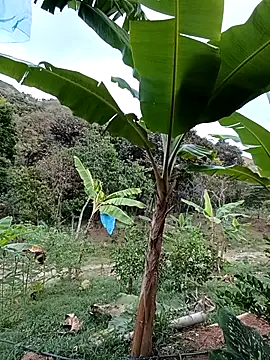 esmeralda_li webcam