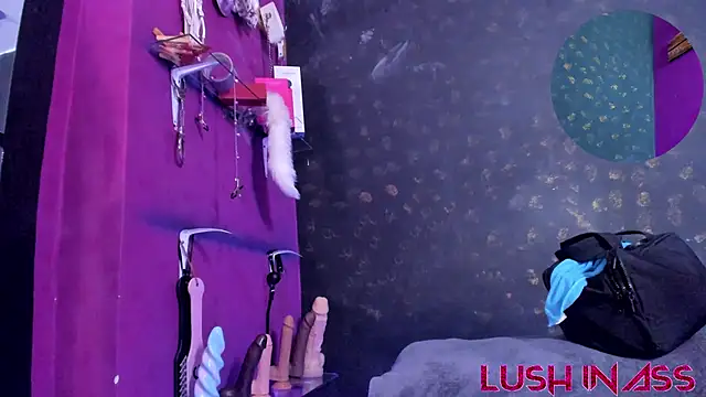 Alexa_Slave webcam