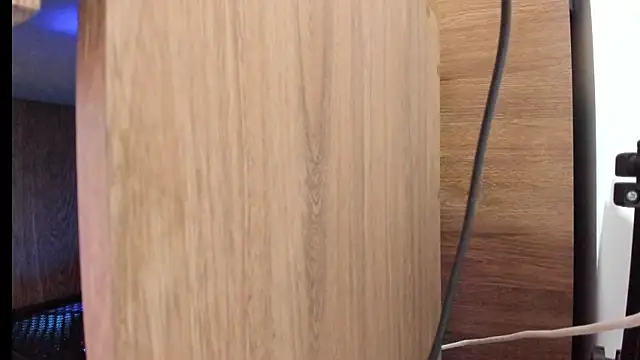 lovely_fit webcam