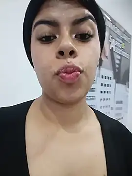 SOFIA-11_ webcam