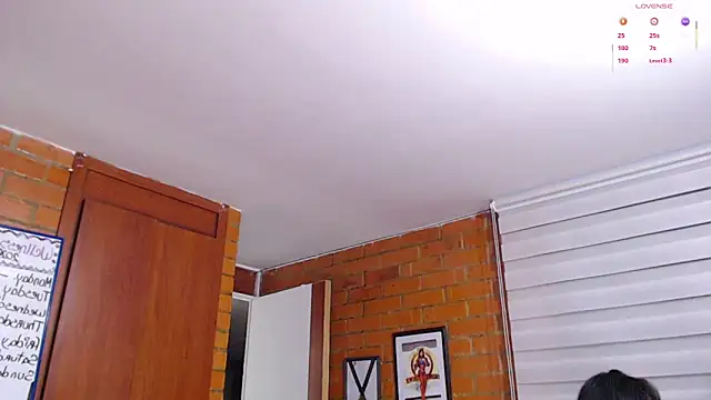 Salome-sw webcam