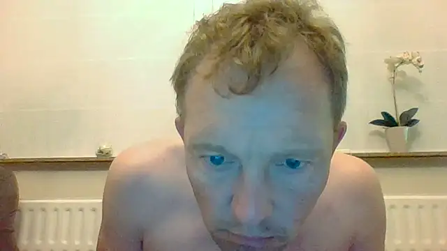 bertolini webcam