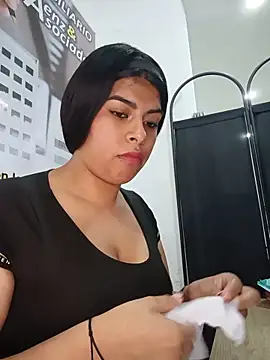 SOFIA-11_ webcam