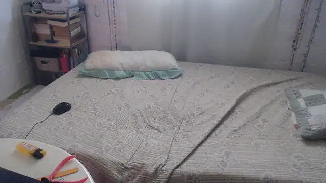 porndollbaby webcam