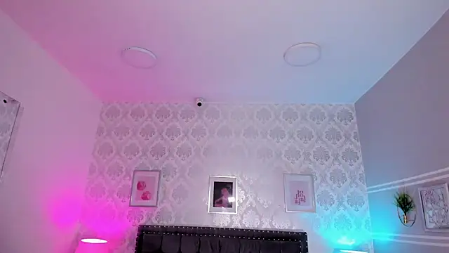kitticam webcam