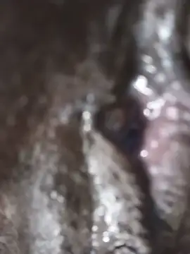 Holy_Virgin webcam