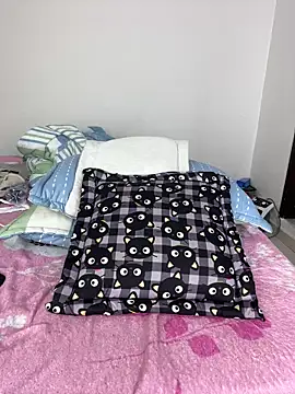 sandylau webcam