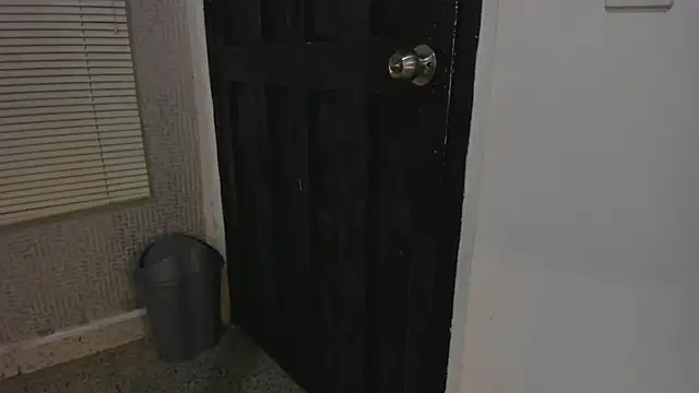 Mike333_ webcam