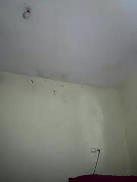 arabayla webcam