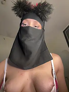 arabayla webcam