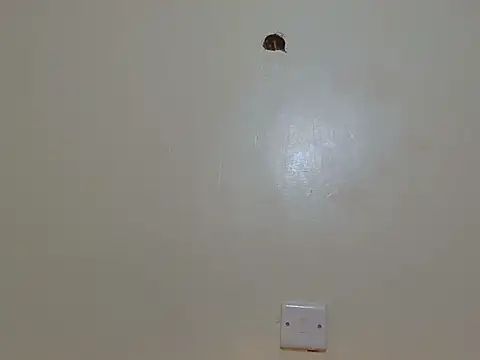 pookie_smiles webcam