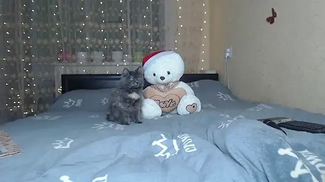 CumCpl webcam