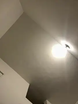 bigdick211292 webcam
