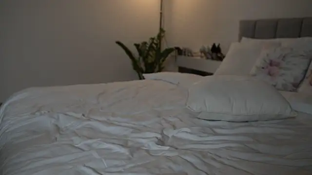 ella_twinkl webcam