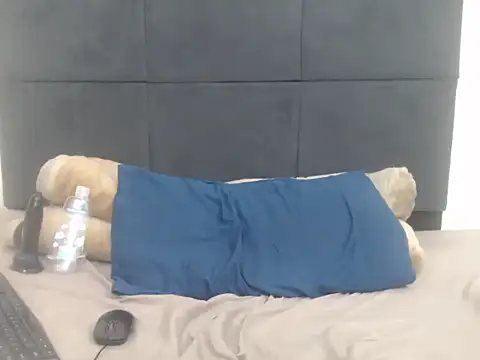 CronicaDass webcam