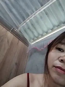 Biva11 webcam
