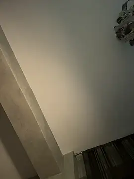 Andrestarr webcam