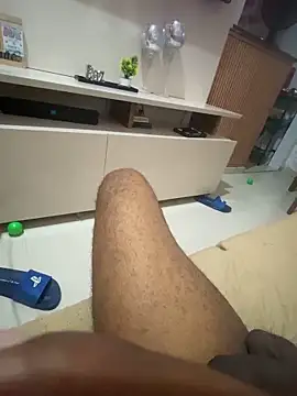 hudson19cm webcam