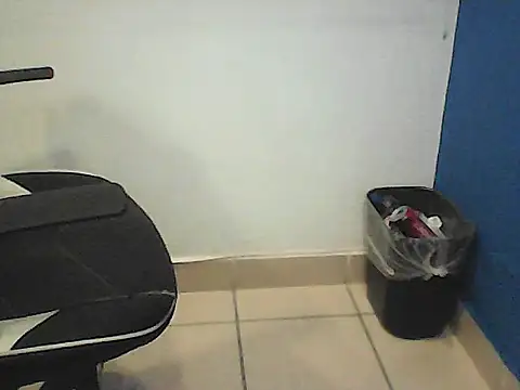 Kalel17073 webcam