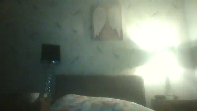 EngagingBench23 webcam