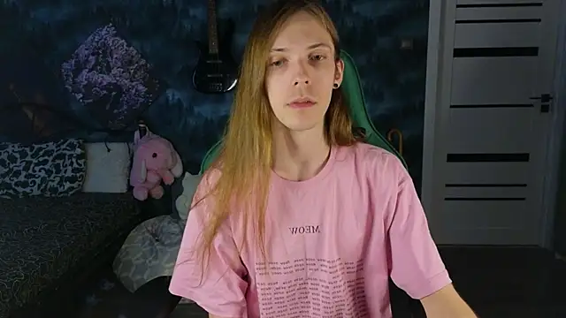 artass2 webcam