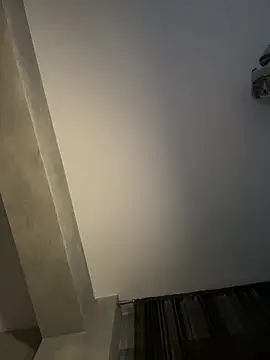 Andrestarr webcam