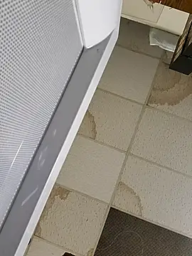 Bakedroll333 webcam