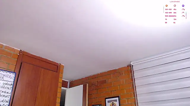 Salome-sw webcam