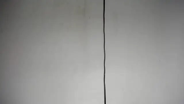Fox_Loves webcam