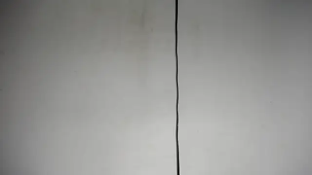 Fox_Loves webcam