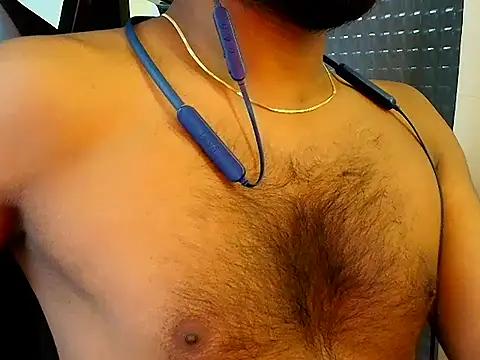 SilverShade3 webcam