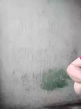 phlin1 webcam