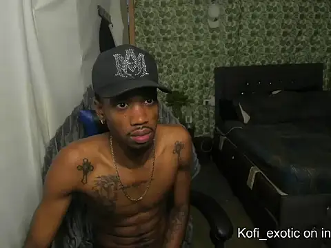 Kofi_exotic_2 webcam