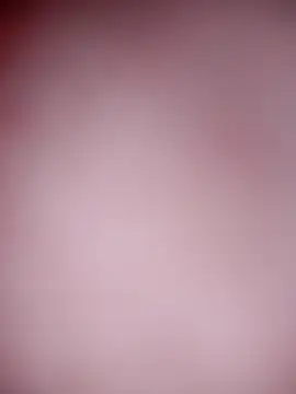 hotaniani webcam