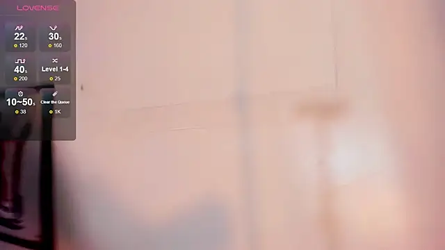 Victoria_Kastelo webcam