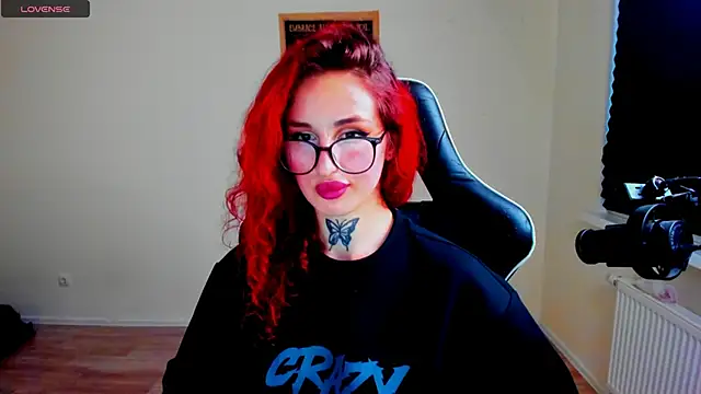 your_tora webcam