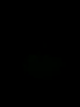 Lawrence067 webcam