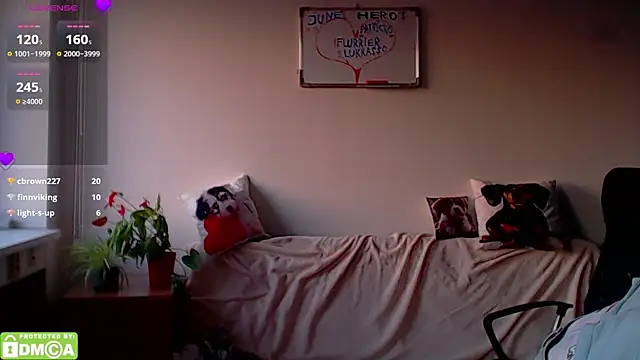 ZeinMiracles webcam